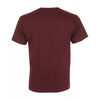 SOL'S Men's Oxblood Victory V Neck T-Shirt