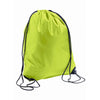 70600-sols-light-green-gymsac