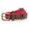 aq902-asquith-fox-red-belt