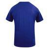 Canterbury Men's Royal Team Plain T-Shirt