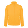 kb911-kariban-yellow-jacket