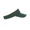 01196-sols-forest-visor