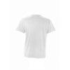 SOL'S Men's Ash Victory V Neck T-Shirt