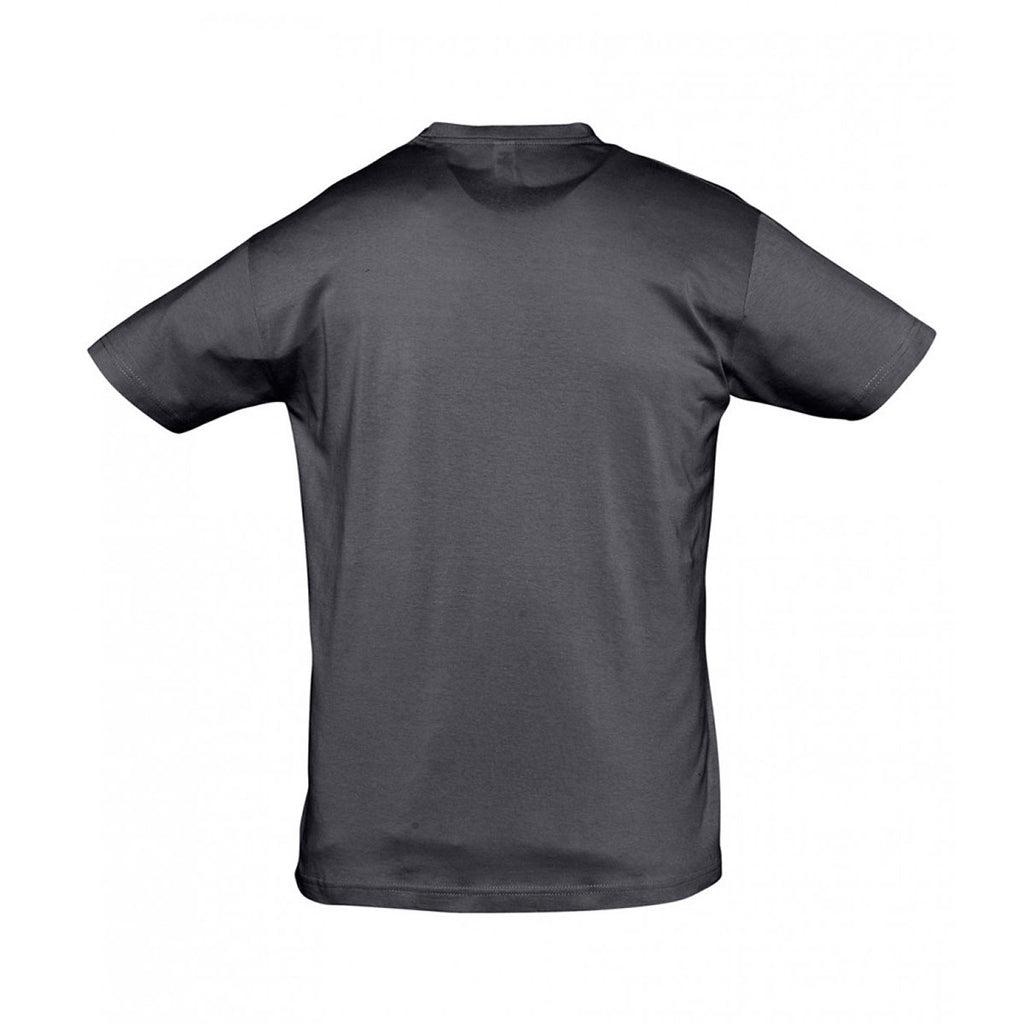 SOL'S Men's Mouse Grey Regent T-Shirt