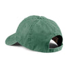 145-anvil-forest-pigment-cap