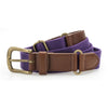 aq902-asquith-fox-purple-belt