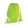 bg110-bagbase-light-green-backpack