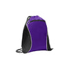bg613-port-authority-purple-cinch-pack