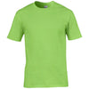 gd08-gildan-light-green-t-shirt