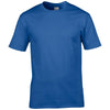 gd08-gildan-blue-t-shirt