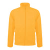 kb911-kariban-yellow-jacket