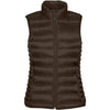 uk-pfv-4w-stormtech-women-brown-vest