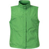 uk-vr-1w-stormtech-women-green-vest