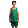 yst500-sport-tek-green-reversible-tank