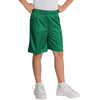 yst510-sport-tek-green-mesh-short